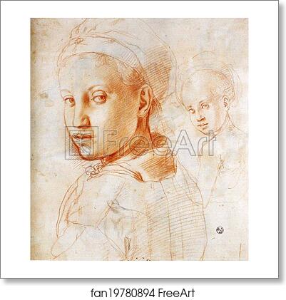 Free art print of Study of a Youth Turning His Head by Jacopo Carrucci, Known As Pontormo