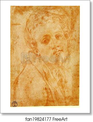Free art print of Self-Portrait by Jacopo Carrucci, Known As Pontormo