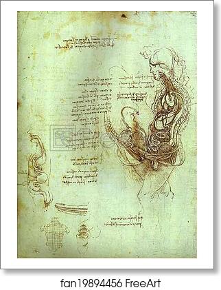 Free art print of Coition of Hemisected Man and Woman by Leonardo Da Vinci Free art print of Coition of Hemisected Man and Woman by Leonardo Da Vinci
