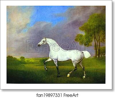 Free art print of A Grey Horse by George Stubbs