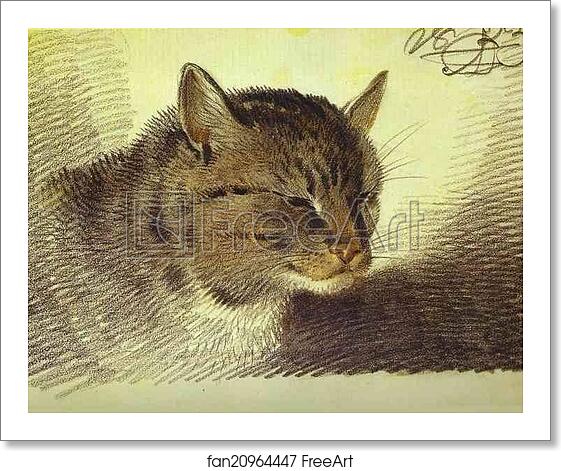Free art print of Head of a Cat by Alexander Orlowski Free art print of Head of a Cat by Alexander Orlowski