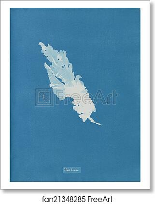 Free art print of Ulva Linza by Anna Atkins Free art print of Ulva Linza by Anna Atkins