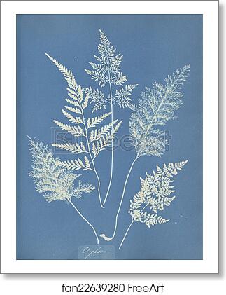 Free art print of Ceylon by Anna Atkins Free art print of Ceylon by Anna Atkins