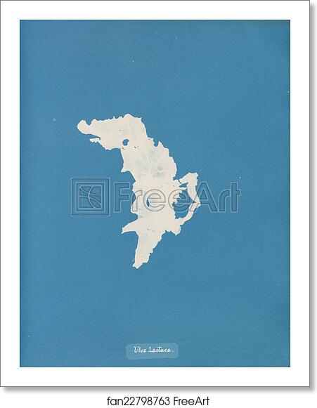 Free art print of Ulva lactuca by Anna Atkins