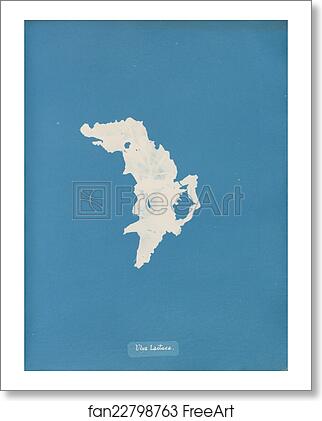 Free art print of Ulva lactuca by Anna Atkins Free art print of Ulva lactuca by Anna Atkins