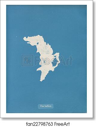 Free art print of Ulva lactuca by Anna Atkins Free art print of Ulva lactuca by Anna Atkins