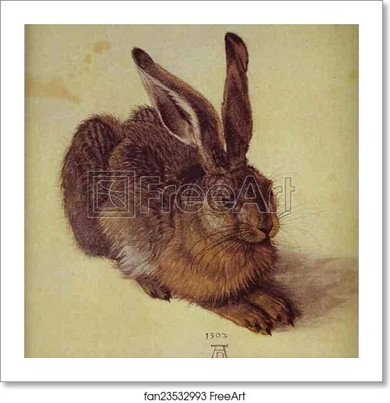 Free art print of A Young Hare by Albrecht Dürer