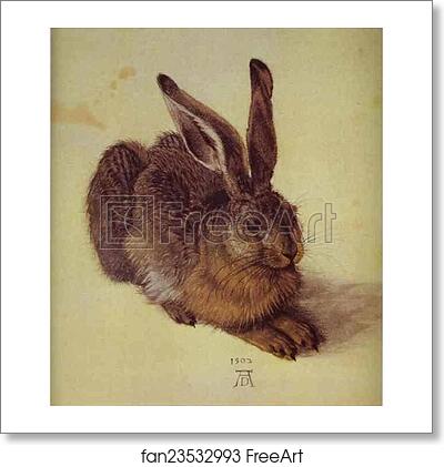 Free art print of A Young Hare by Albrecht Dürer