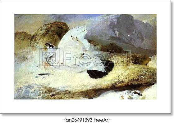 Free art print of Ptarmigan by Sir Edwin Landseer Free art print of Ptarmigan by Sir Edwin Landseer