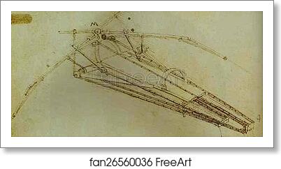 Free art print of Drawing of a Flying Machine by Leonardo Da Vinci