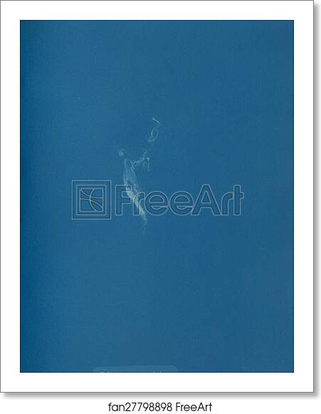 Free art print of Ectocarpus amphibius by Anna Atkins Free art print of Ectocarpus amphibius by Anna Atkins