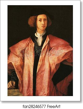 Free art print of Portrait of a Young Man (Alessandro de' Medici?) by Jacopo Carrucci, Known As Pontormo