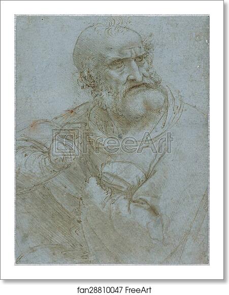 Free art print of Half-Length Figure of an Apostle, 1493-1495 by Leonardo Da Vinci