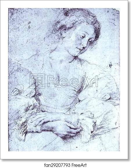 Free art print of Portrait of a Girl by Peter Paul Rubens Free art print of Portrait of a Girl by Peter Paul Rubens