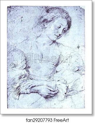 Free art print of Portrait of a Girl by Peter Paul Rubens