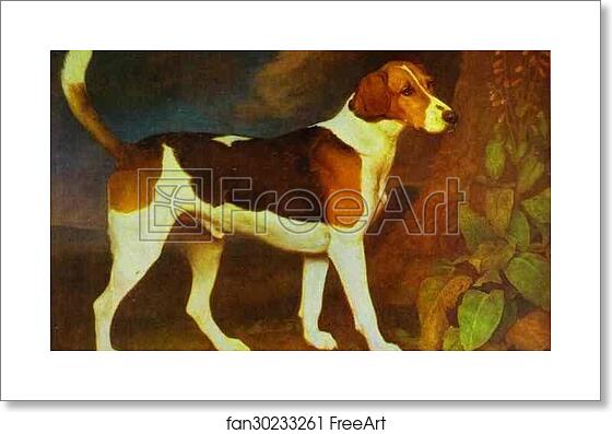 Free art print of A Foxhound, Ringwod by George Stubbs Free art print of A Foxhound, Ringwod by George Stubbs