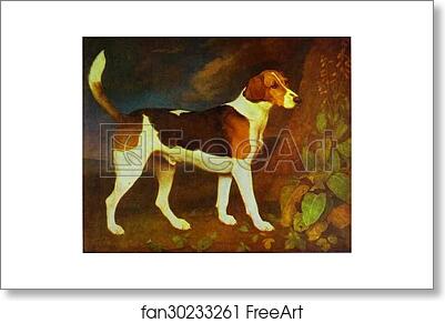 Free art print of A Foxhound, Ringwod by George Stubbs