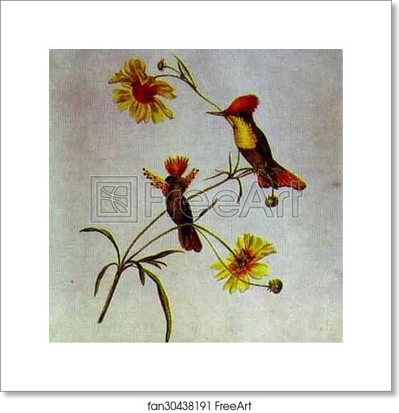 Free art print of Birds and Flowers by Count Feodor Tolstoy Free art print of Birds and Flowers by Count Feodor Tolstoy