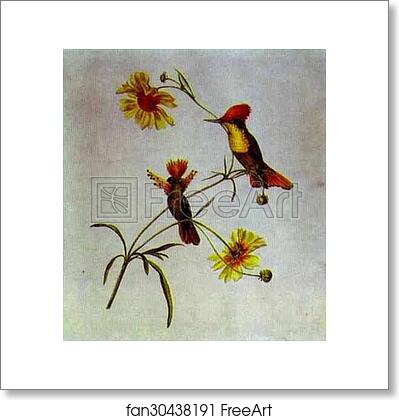 Free art print of Birds and Flowers by Count Feodor Tolstoy