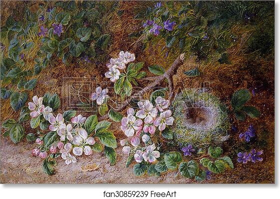 Free art print of May Blossom and a Bird's Nest by George Clare
