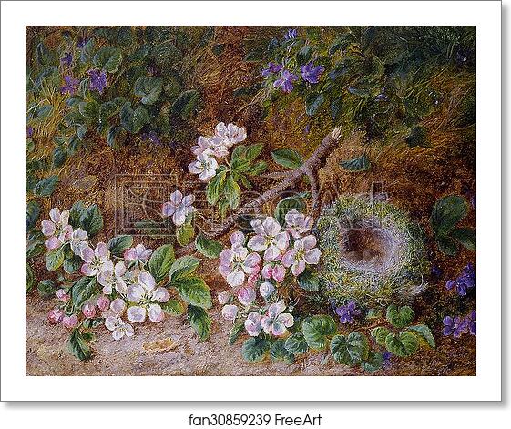 Free art print of May Blossom and a Bird's Nest by George Clare Free art print of May Blossom and a Bird's Nest by George Clare