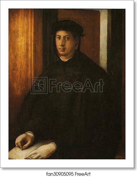 Free art print of Portrait of Alessandro de' Medici by Jacopo Carrucci, Known As Pontormo