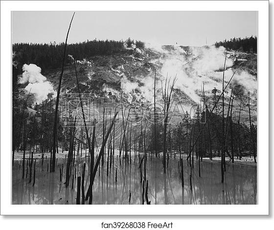 Free art print of Barren tree trunks rising from water in foreground, stream rising from mountains in background, "Roaring Mountain, Yellowstone National Park," Wyoming.  Photographs of National Parks and Monuments, documenting the period ca. 1933 - 1942. by Ansel Adams (1902-1984)