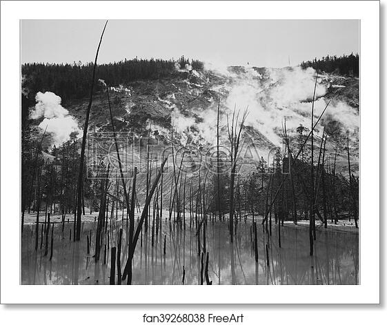 Free art print of Barren tree trunks rising from water in foreground, stream rising from mountains in background, "Roaring Mountain, Yellowstone National Park," Wyoming.  Photographs of National Parks and Monuments, documenting the period ca. 1933 - 1942. by Ansel Adams (1902-1984)