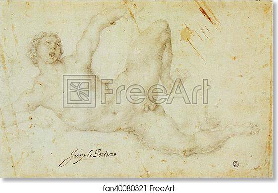 Free art print of Figure Study. (The Kicking Player) by Jacopo Carrucci, Known As Pontormo