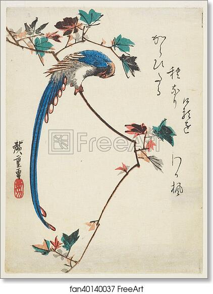 Free art print of Blue magpie on maple branch by Utagawa Hiroshige