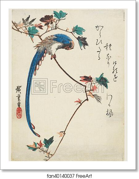 Free art print of Blue magpie on maple branch by Utagawa Hiroshige Free art print of Blue magpie on maple branch by Utagawa Hiroshige