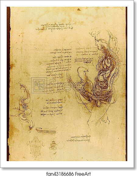 Free art print of Coition of a Hemisected Man and Woman by Leonardo Da Vinci Free art print of Coition of a Hemisected Man and Woman by Leonardo Da Vinci