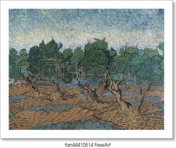 Free art print of Olive grove by Vincent Van Gogh Free art print of Olive grove by Vincent Van Gogh