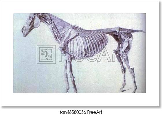 Free art print of Finished Study for the Fifth Anatomical Table by George Stubbs Free art print of Finished Study for the Fifth Anatomical Table by George Stubbs