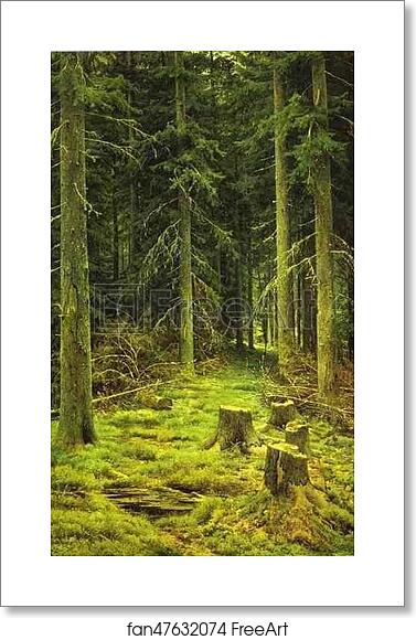 Free art print of Coniferous Forest by Ivan Shishkin Free art print of Coniferous Forest by Ivan Shishkin