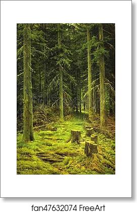 Free art print of Coniferous Forest by Ivan Shishkin