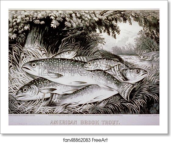 Free art print of American brook trout. Lithograph by Currier & Ives Free art print of American brook trout. Lithograph by Currier & Ives