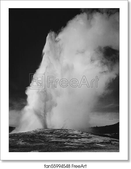 Free art print of Erupting, against dark sky, "Old Faithful Geyser, Yellowstone National Park," Wyoming. (vertical orientation). by Ansel Adams (1902-1984)