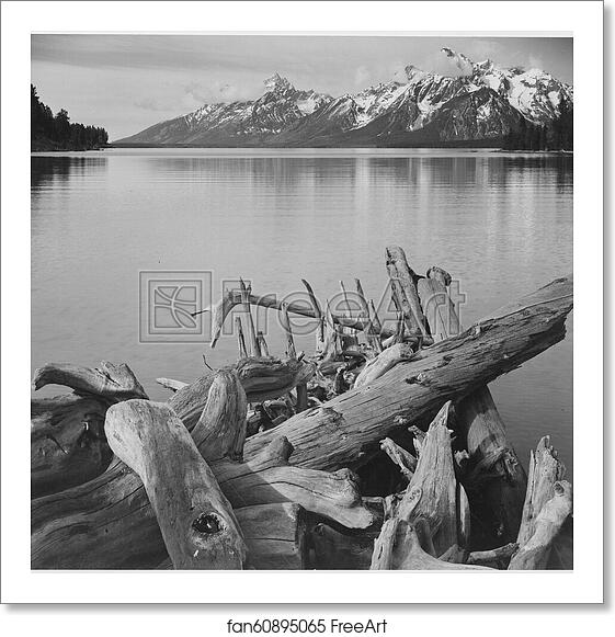 Free art print of Jackson Lake in foreground, with Teton Range in background, view looking southwest from north end of the lake.  Grand Teton National Park, Wyoming.  Photographs of National Parks and Monuments, compiled 1941 - 1942, documenting the period ca. 1933 - 1942. by Ansel Adams (1902-1984)