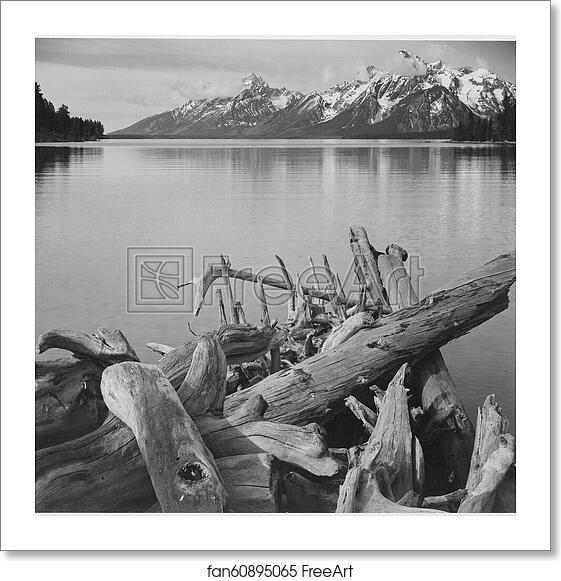 Free art print of Jackson Lake in foreground, with Teton Range in background, view looking southwest from north end of the lake. Grand Teton National Park, Wyoming. Photographs of National Parks and Monuments, compiled 1941 - 1942, documenting the period ca. 1933 - 1942. by Ansel Adams (1902-1984) Free art print of Jackson Lake in foreground, with Teton Range in background, view looking southwest from north end of the lake. Grand Teton National Park, Wyoming. Photographs of National Parks and Monuments, compiled 1941 - 1942, documenting the period ca. 1933 - 1942. by Ansel Adams (1902-1984)