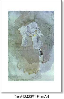 Free art print of White Iris by Mikhail Vrubel