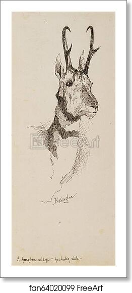 Free art print of A Pronghorn Antelope by Frederic Remington