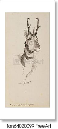 Free art print of A Pronghorn Antelope by Frederic Remington Free art print of A Pronghorn Antelope by Frederic Remington