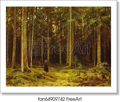 Free art print of Countess Mordvinova's Forest. Peterhof by Ivan Shishkin