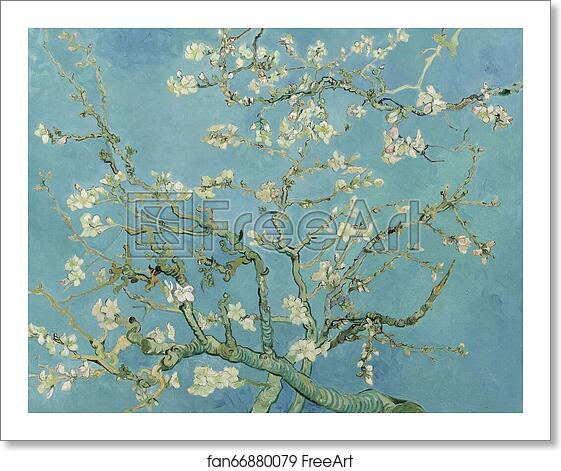 Free art print of Almond Blossoms by Vincent Van Gogh