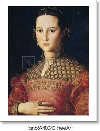 Free art print of Portrait of Eleonora of Toledo as a Young Woman by Agnolo Bronzino