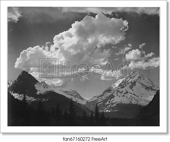 Free art print of Tops of pine trees, snow covered, "In Glacier National Park," Montana.  Photographs of National Parks and Monuments, compiled 1941 - 1942, documenting the period ca. 1933 - 1942. by Ansel Adams (1902-1984)