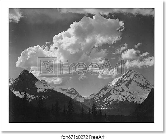 Free art print of Tops of pine trees, snow covered, "In Glacier National Park," Montana. Photographs of National Parks and Monuments, compiled 1941 - 1942, documenting the period ca. 1933 - 1942. by Ansel Adams (1902-1984) Free art print of Tops of pine trees, snow covered, "In Glacier National Park," Montana. Photographs of National Parks and Monuments, compiled 1941 - 1942, documenting the period ca. 1933 - 1942. by Ansel Adams (1902-1984)