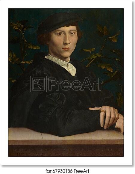 Free art print of Derich Born (1510?-49) by Hans Holbein The Younger Free art print of Derich Born (1510?-49) by Hans Holbein The Younger