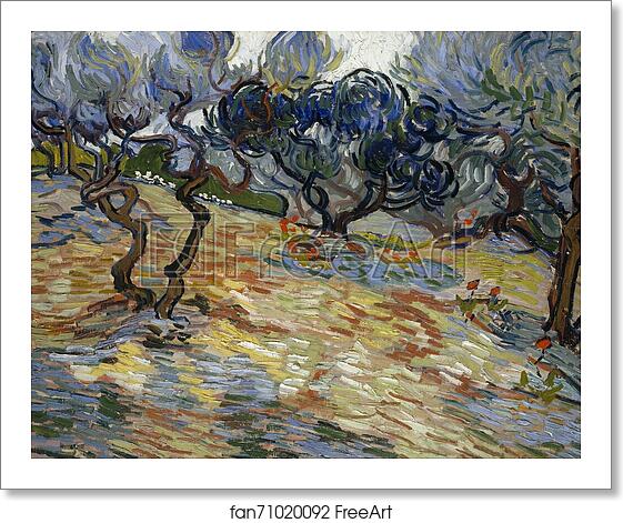 Free art print of Olive Trees by Vincent Van Gogh